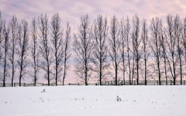 Kapha Season: How to Stay Energized and Healthy