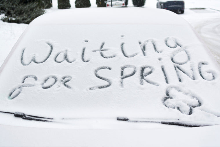 Start your New Years resolutions in the spring